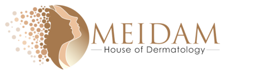 logo-meidam logo-meidam