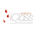 Iclass Anatomy