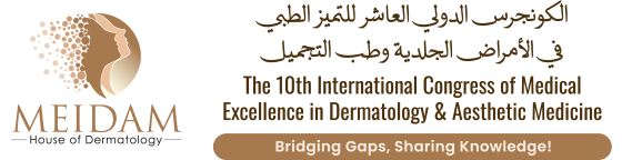 logo-meidam-2025