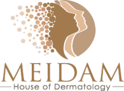 meidam-2024-logo